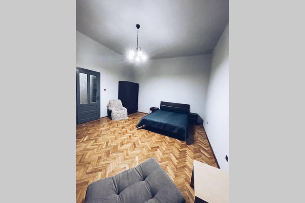 ☆Modern High Ceiling Apartment - Heart Of The City Oradea Exterior photo